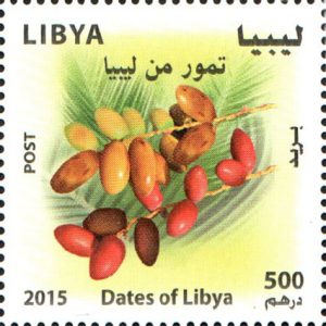 تمور من ليبيا - 2015.12.31 2015