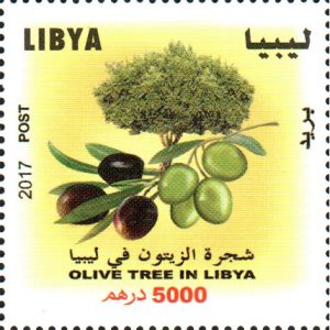 شجرة الزيتون في ليبيا
